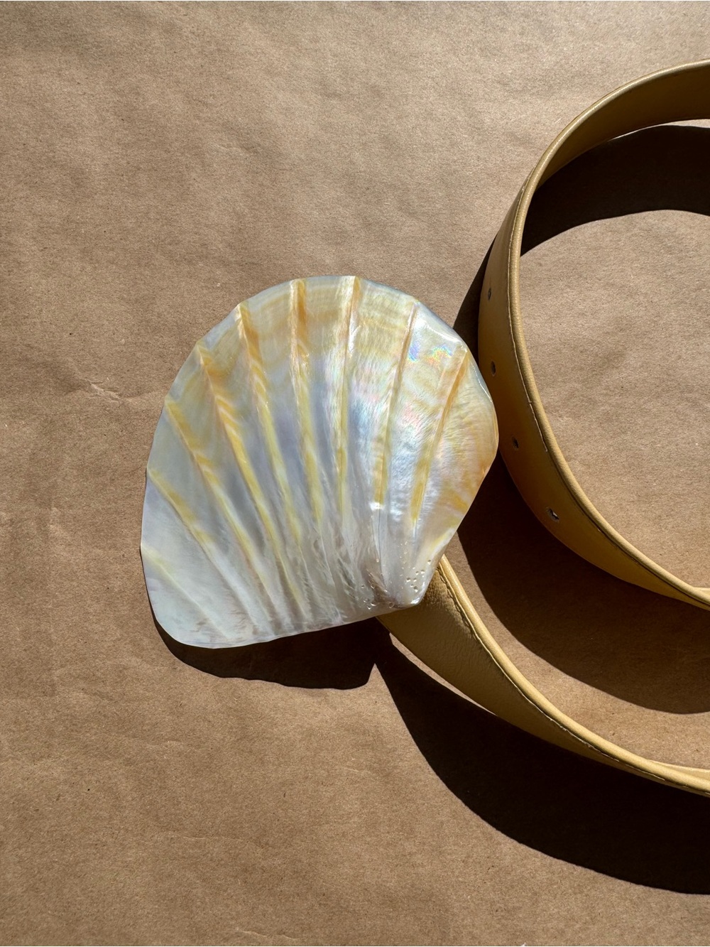 Statement Ocean Shell Belt - Picture 4 of 6